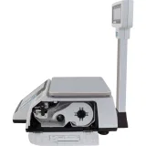 CAS Весы CL3000-15P